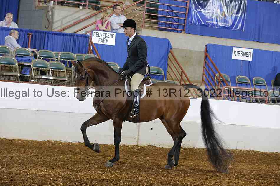 Proof 13r12_3022