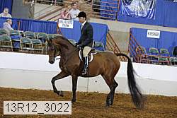 13r12_3022 proof