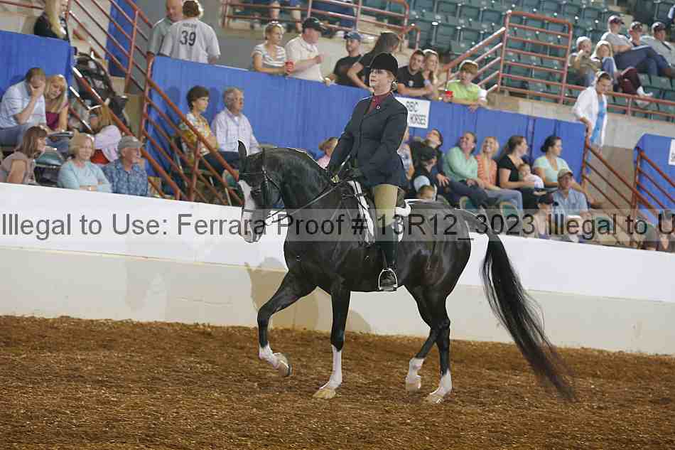 Proof 13r12_3023