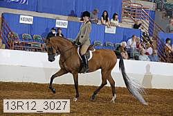 13r12_3027 proof