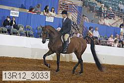 13r12_3033 proof