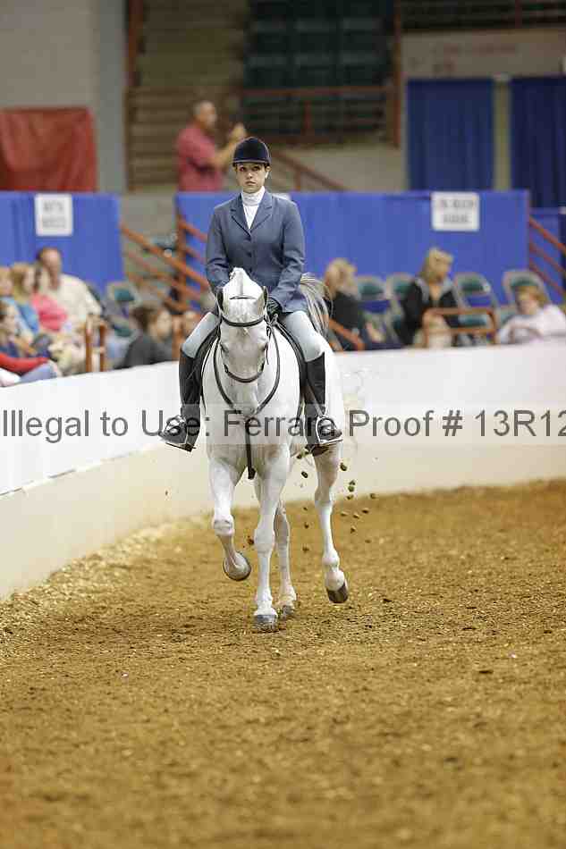 Proof 13r12_3039