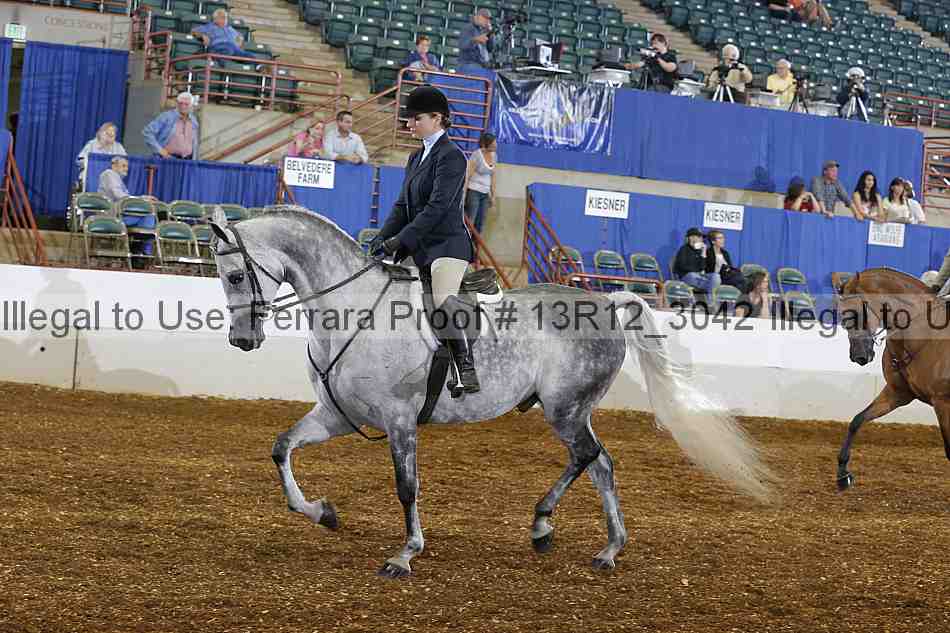 Proof 13r12_3042