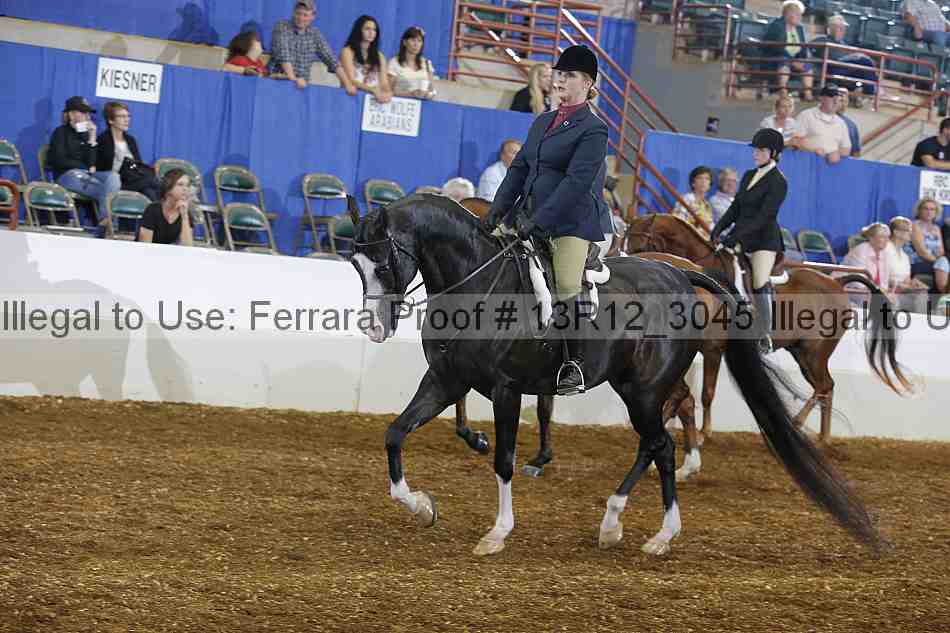 Proof 13r12_3045
