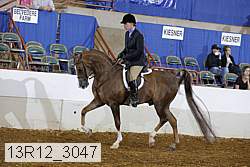 13r12_3047 proof
