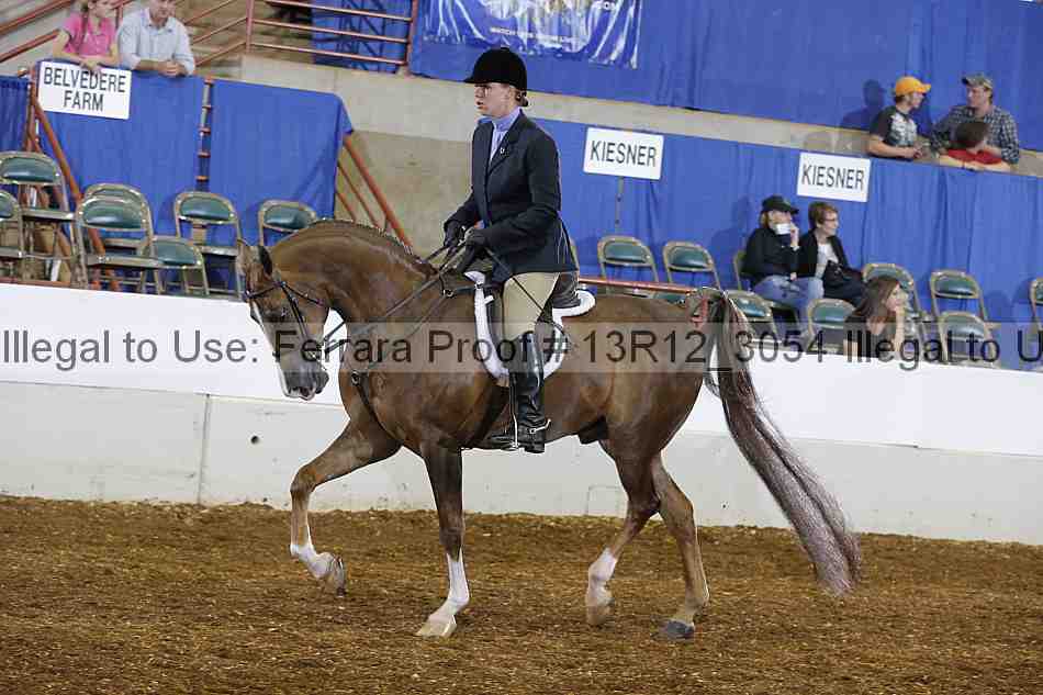 Proof 13r12_3054