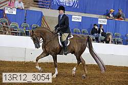 13r12_3054 proof