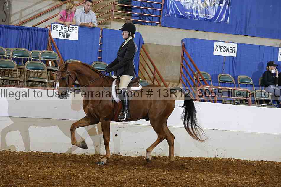 Proof 13r12_3055