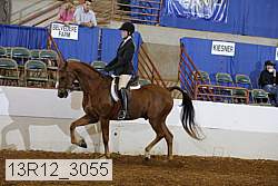 13r12_3055 proof