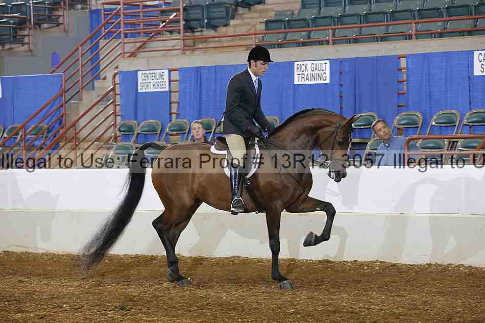Proof 13r12_3057