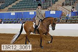 13r12_3061 proof