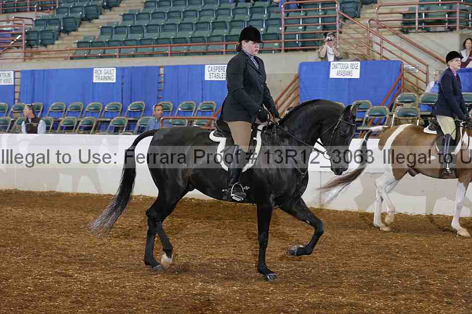 Proof 13r12_3063