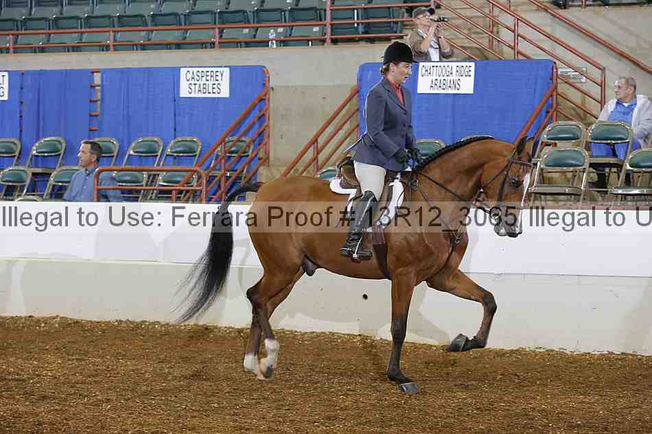 Proof 13r12_3065