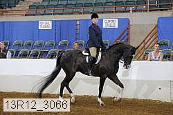 13r12_3066 proof