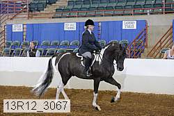 13r12_3067 proof