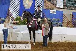 13r12_3071 proof