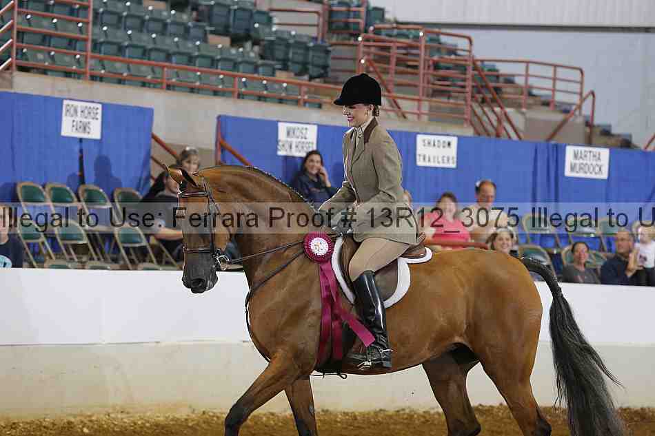 Proof 13r12_3075