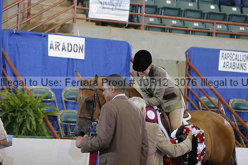 Proof 13r12_3076