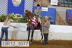 13r12_3077 proof