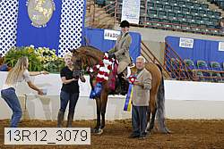 13r12_3079 proof