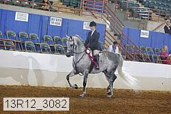 13r12_3082 proof