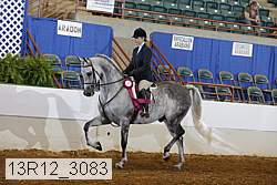 13r12_3083 proof