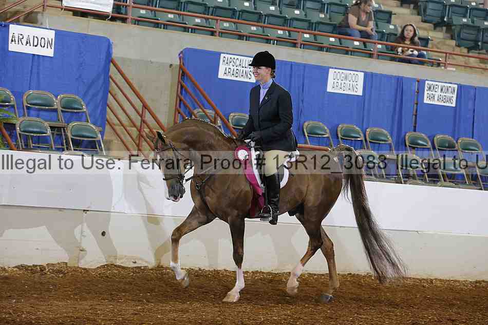 Proof 13r12_3088