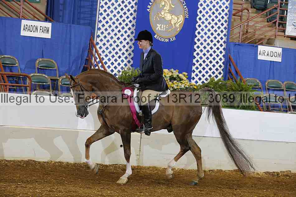Proof 13r12_3089