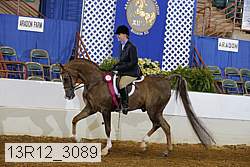 13r12_3089 proof