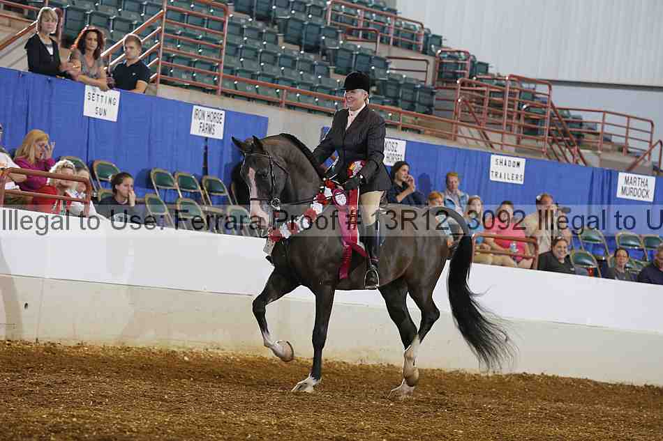 Proof 13r12_3092