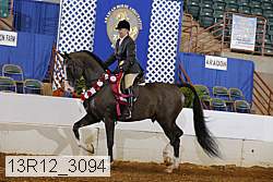 13r12_3094 proof