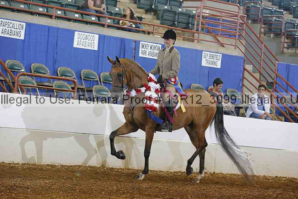 Proof 13r12_3099