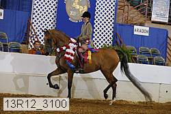 13r12_3100 proof