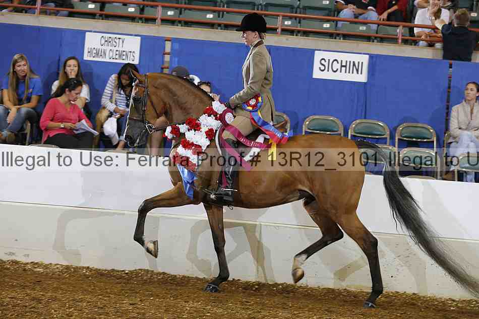 Proof 13r12_3101