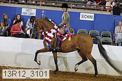 13r12_3101 proof