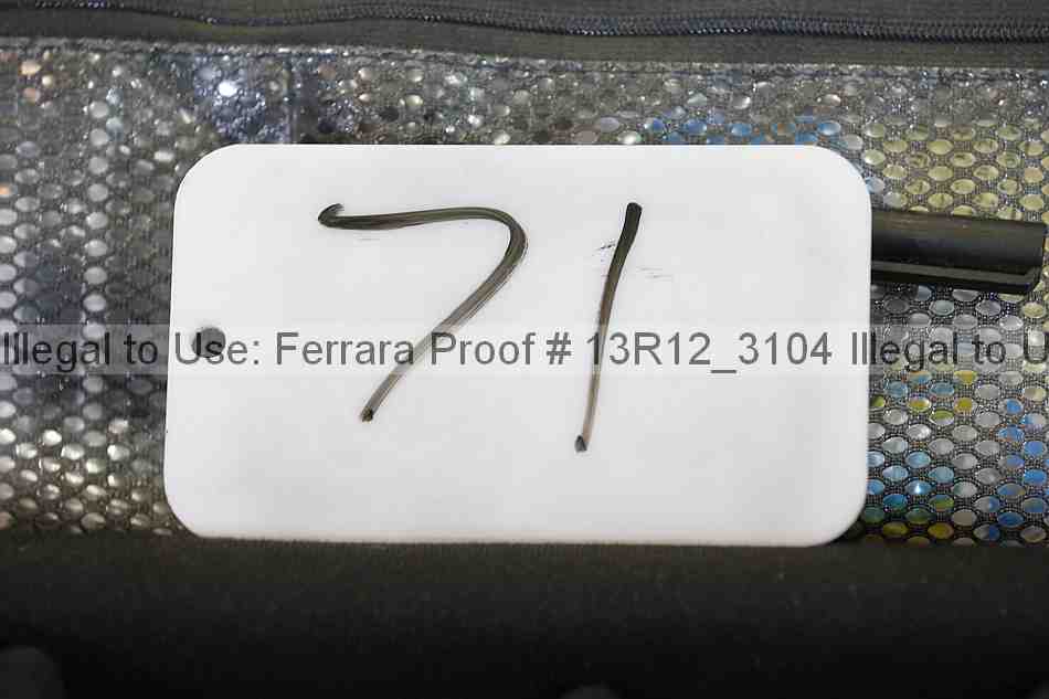 Proof 13r12_3104