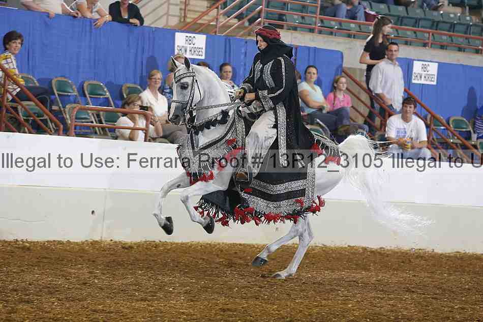 Proof 13r12_3105