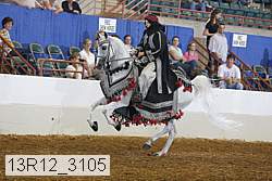 13r12_3105 proof