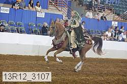 13r12_3107 proof