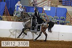13r12_3108 proof