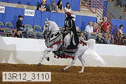 13r12_3110 proof