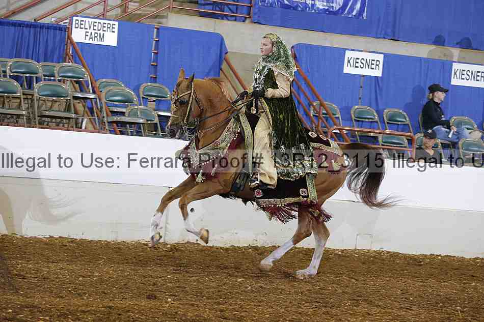 Proof 13r12_3115