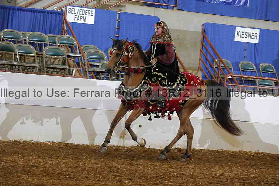 Proof 13r12_3116