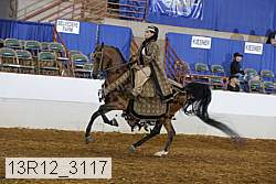 13r12_3117 proof