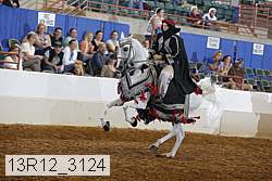 13r12_3124 proof