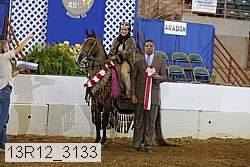 13r12_3133 proof