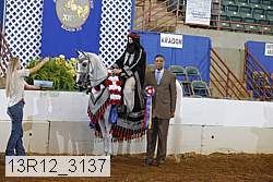 13r12_3137 proof