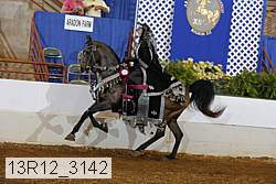13r12_3142 proof