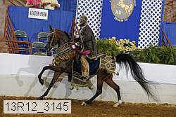 13r12_3145 proof