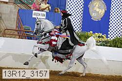 13r12_3157 proof